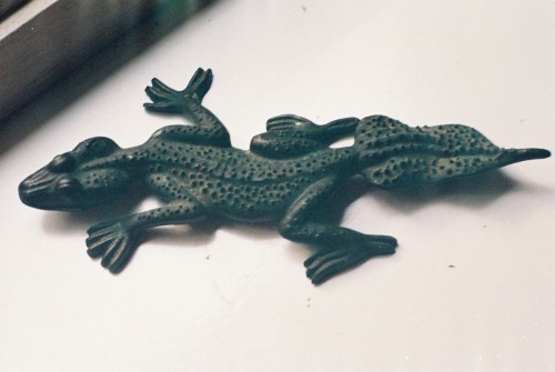 F1120026 Sclunke bronxe gecko