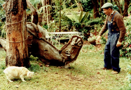 Arthur Murch, Claws & Govett's Leap horse mould, Avalon 1985